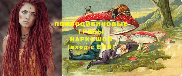 амф Бронницы