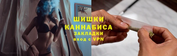 амф Бронницы