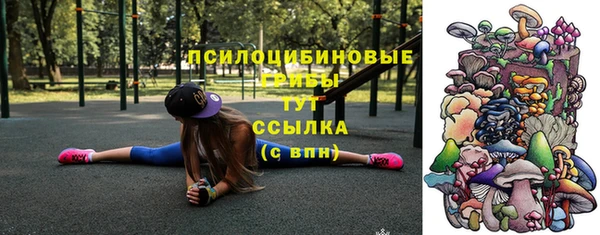 прущая мука Бородино